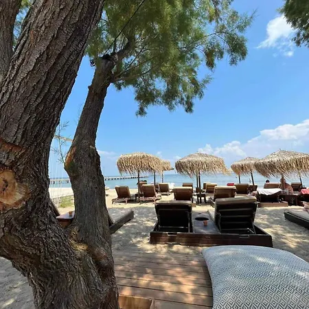 Ammos Hotel Agia Triada (Thessaloniki)